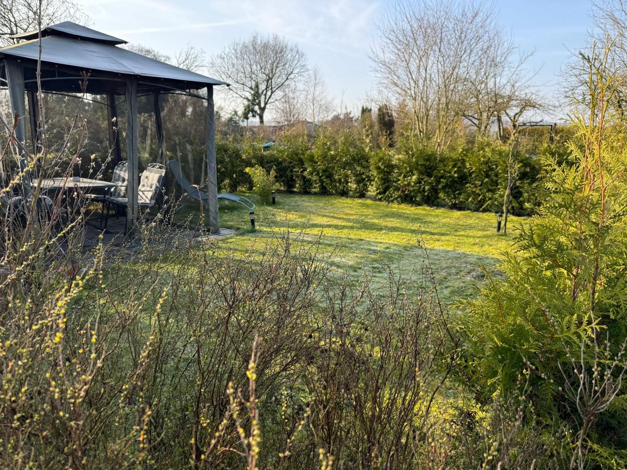 Ferienwohnung Am See Dillich - Ruhige Lage - Eigener Garten - Direkt Neben Einem Natursee Borken  Buitenkant foto