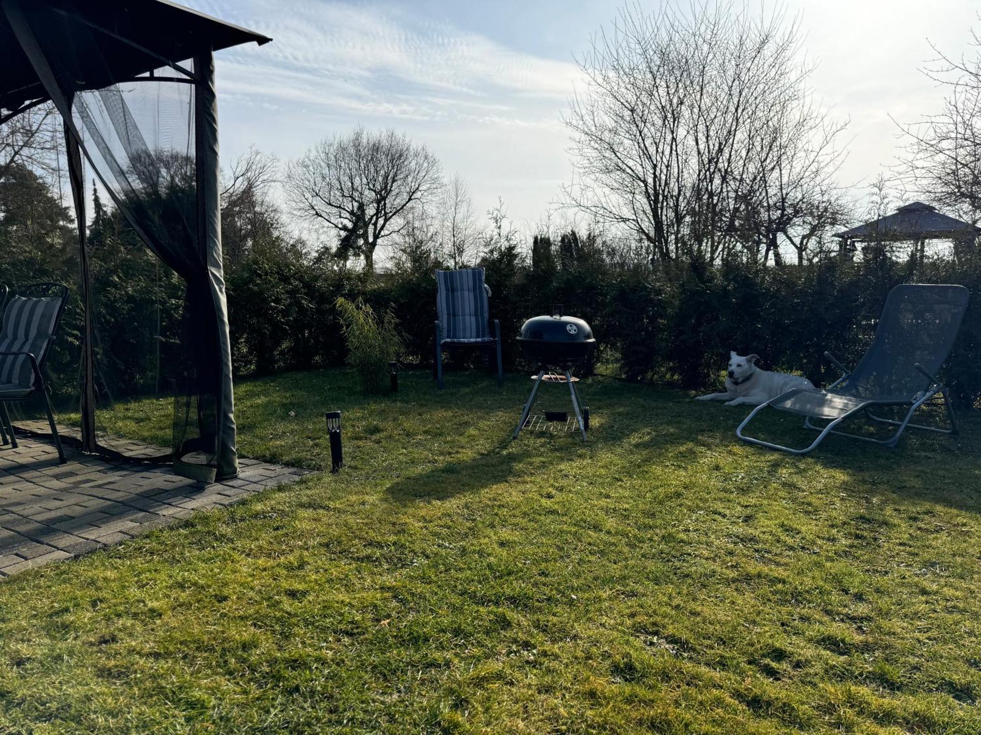 Ferienwohnung Am See Dillich - Ruhige Lage - Eigener Garten - Direkt Neben Einem Natursee Borken  Buitenkant foto