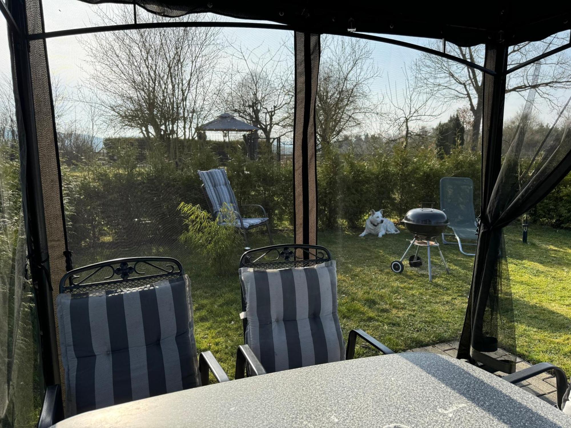 Ferienwohnung Am See Dillich - Ruhige Lage - Eigener Garten - Direkt Neben Einem Natursee Borken  Buitenkant foto